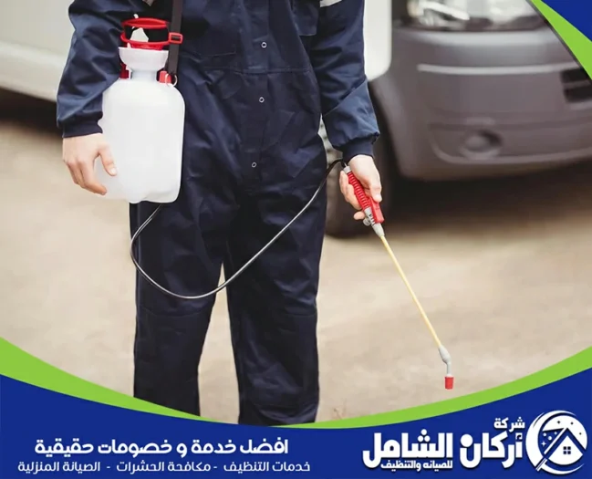 شركة مكافحة حشرات بالدمام