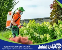 شركة مكافحة حشرات بالقطيف