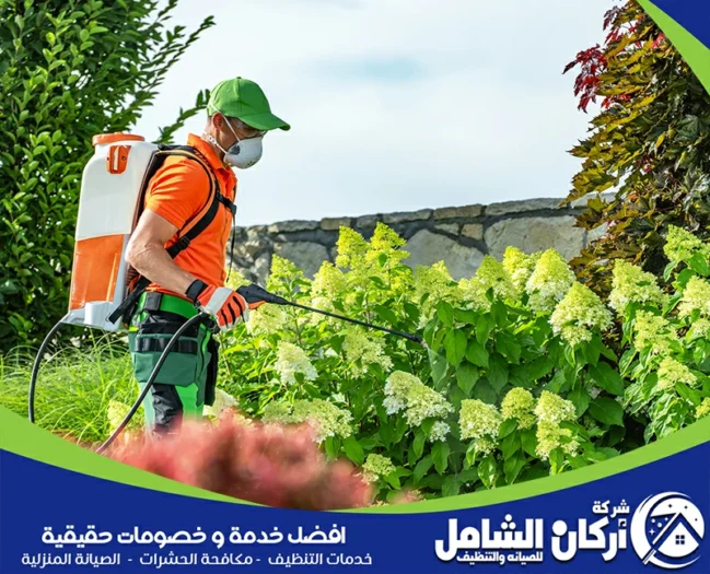 شركة مكافحة حشرات بالقطيف