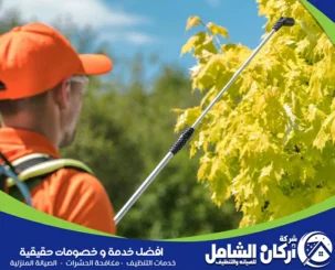شركة رش مبيدات بالخبر
