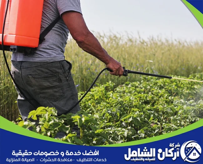 شركة رش مبيدات بالدمام