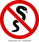 no snake vector icon flat 260nw 1610337043 e1731512657222