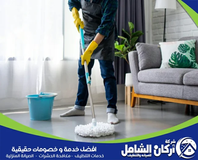 شركة تنظيف بابها