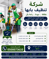شركة تنظيف بابها