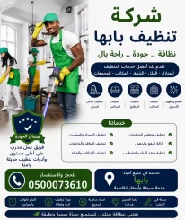 شركة تنظيف بابها