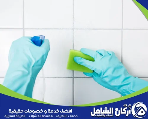 استخدام مواد تنظيف آمنة لتنظيف جدران المنزل استخدام مواد تنظيف آمنة لتنظيف جدران المنزل