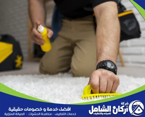 الأجهزه المستخدمة في طرق إزالة الروائح الكريهة من السجاد الأجهزه المستخدمة في طرق إزالة الروائح الكريهة من السجاد