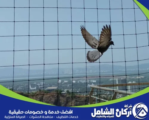 افضل شركة تركيب طارد الحمام بالدمام افضل شركة تركيب طارد الحمام بالدمام