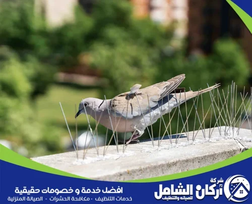 تركيب طارد كهربائي متقدم للحمام بالدمام تركيب طارد كهربائي متقدم للحمام بالدمام