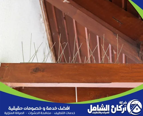 تركيب طارد الحمام بالدمام تركيب طارد الحمام بالدمام