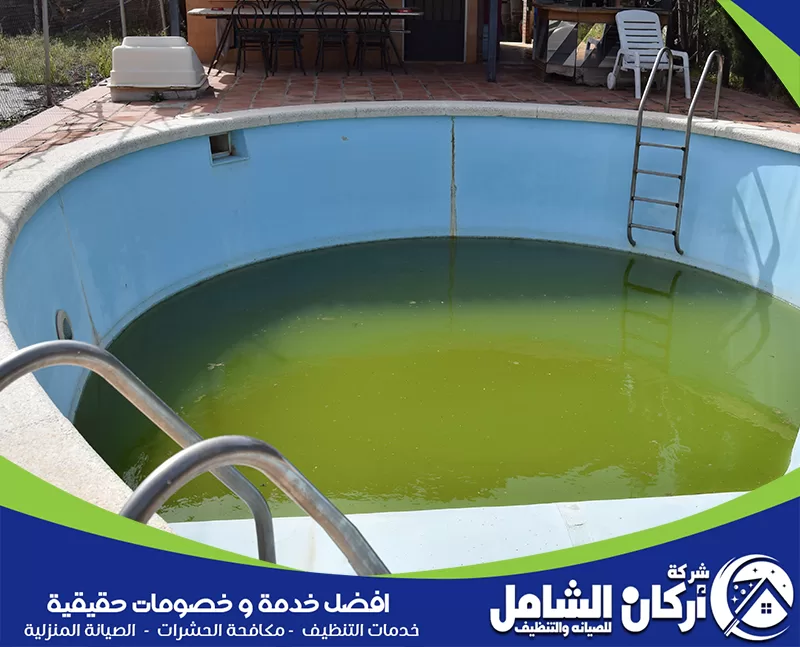 طريقة تنظيف المسابح من الغبار عكارة ماء المسبح تكشف أهمية تنظيف القاع والفلتر بعد تراكم الغبار.